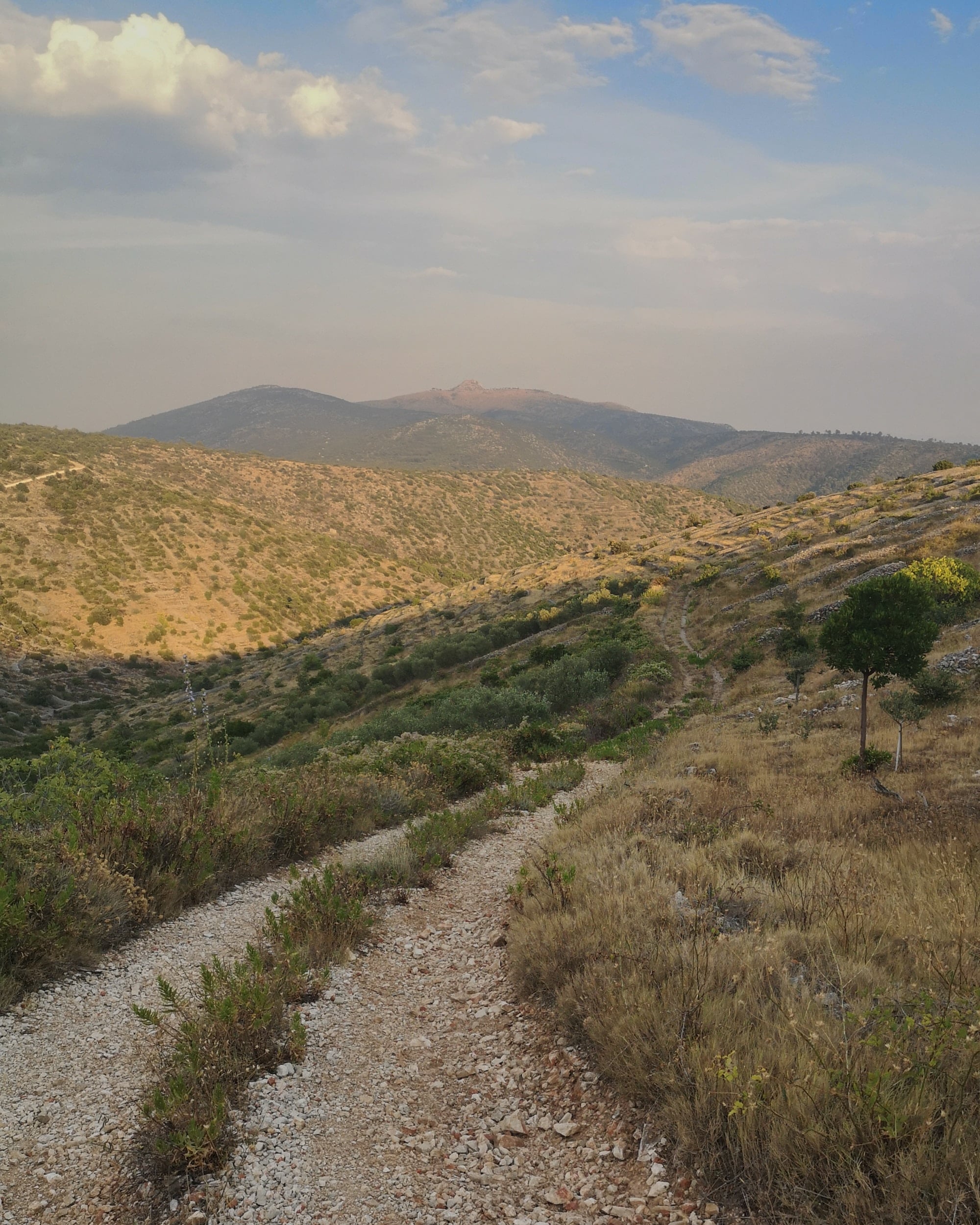 Cycling on Hvar