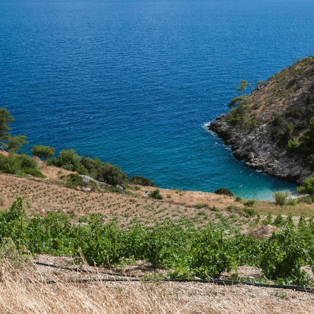 Ivan Dolac on Hvar